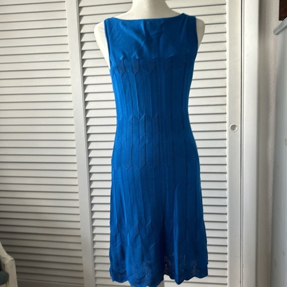 Ralph Lauren Dress - Picture 3 of 5